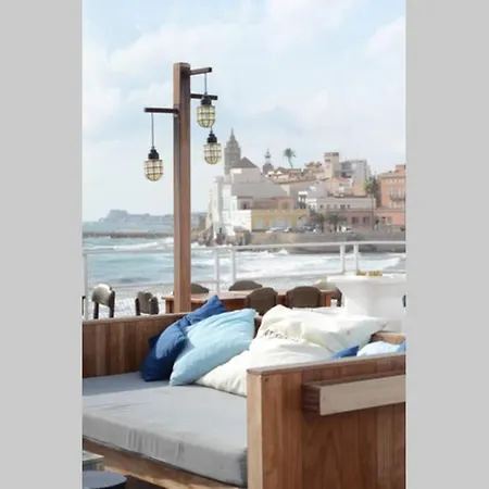 36o Degres View Unbelievable Sea Spot Roses