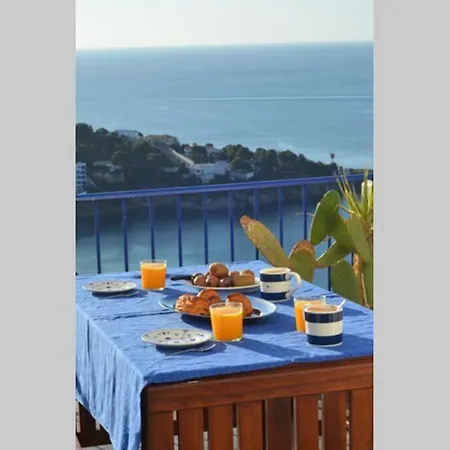 36o Degres View Unbelievable Sea Spot Roses