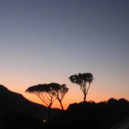 36o Degres View Unbelievable Sea Spot Roses